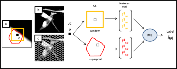Sliding windows and superpixels (SAF) based features for pixel classification.